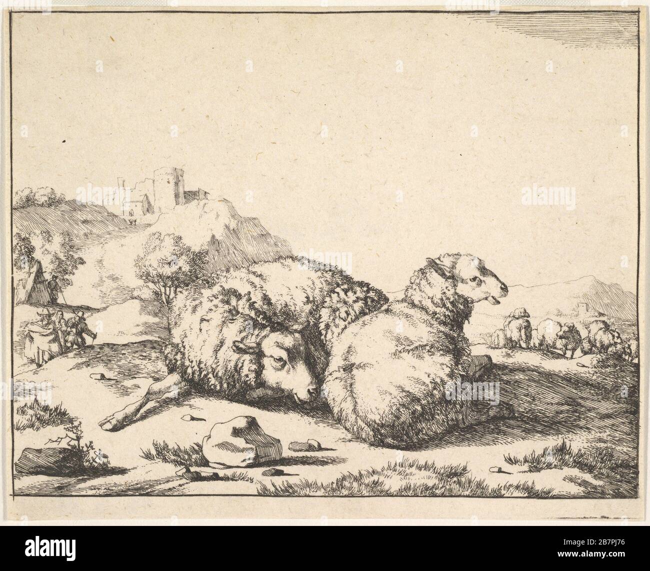 Mouton, à partir d'un jeu de 16 plaques, 1664. Banque D'Images