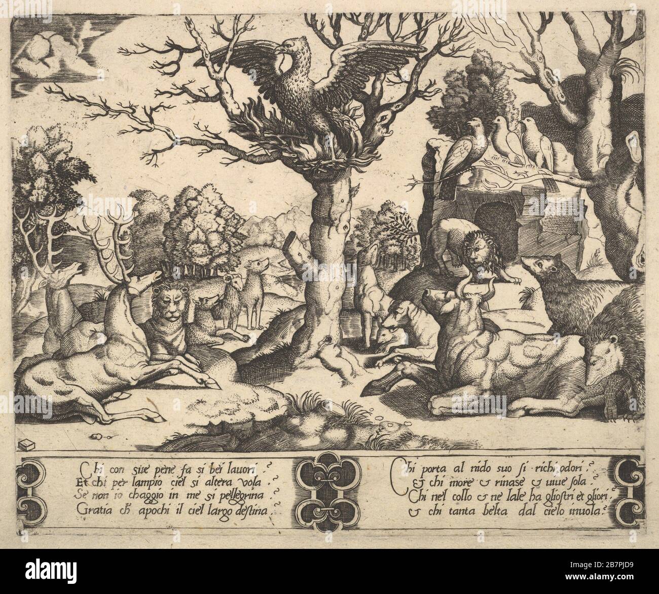 Un phoenix était assis au sommet d'un arbre, ailes ouvertes, un assortiment d'animaux en dessous, 1530-60. Banque D'Images