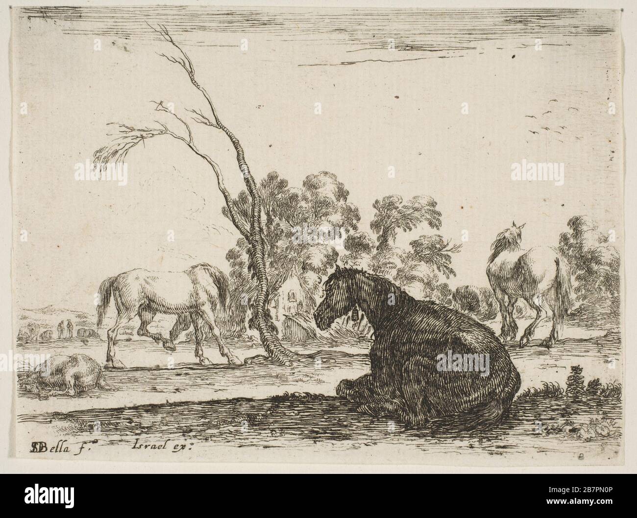 Plaque 8: Un cheval assis à droite, vu de derrière et tourné à gauche, trois autres chevaux dans l'intermédiaire, un arbre au centre, de 'divers Figures' (AGR&#xe9;Diverstable divertable&#xe9; de figures), 1642. Banque D'Images