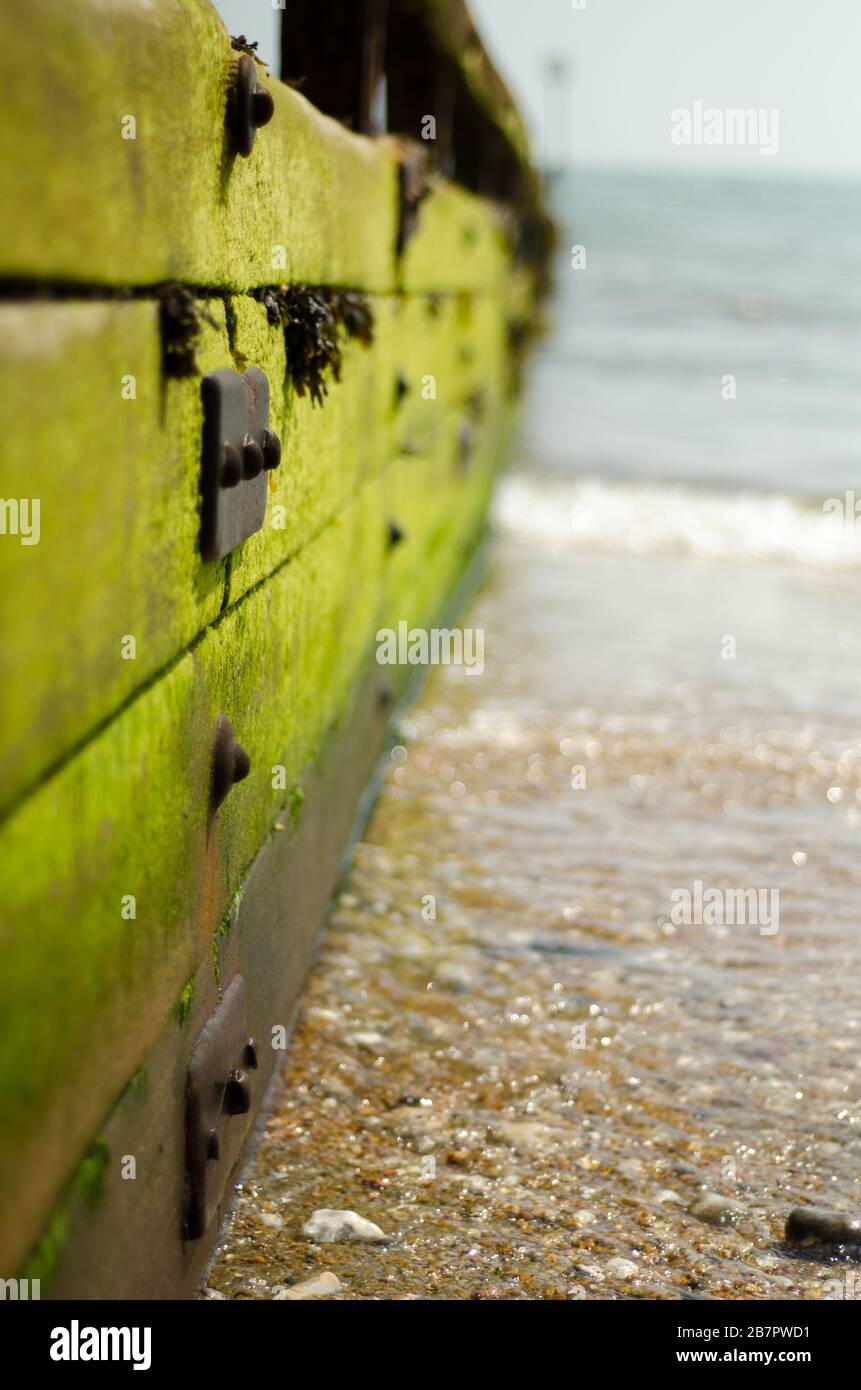 Un temps battu groyne en bois sur une plage de galets de l'île de Wight portée lisse par des vagues. Banque D'Images