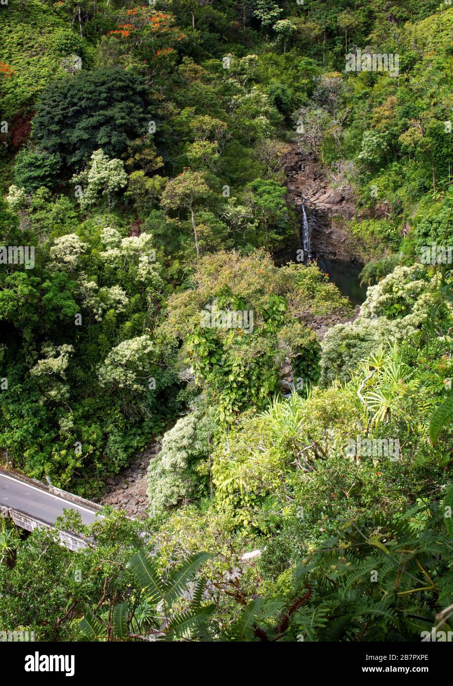 La route vers Hana traverse un feuillage luxuriant avec une chute d'eau en arrière-plan à Hawaï. Banque D'Images La route vers Hana traverse un feuillage luxuriant avec une chute d'eau en arrière-plan à Hawaï. Banque D'Images
