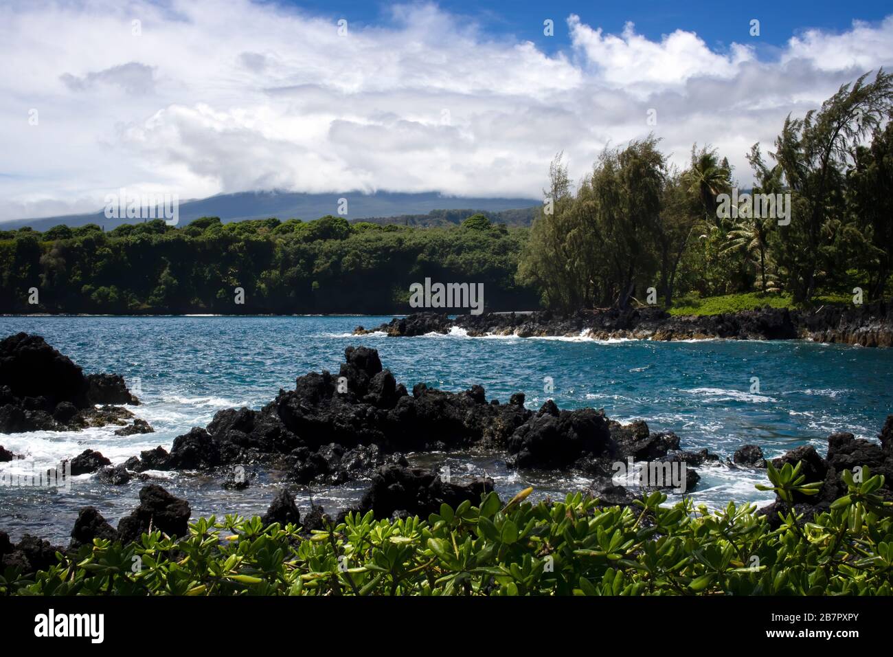 Littoral de lave Rocky avec océan, feuillage vert, et montagnes s'élevant à distance à Hawaï. Banque D'Images Littoral de lave Rocky avec océan, feuillage vert, et montagnes s'élevant à distance à Hawaï. Banque D'Images