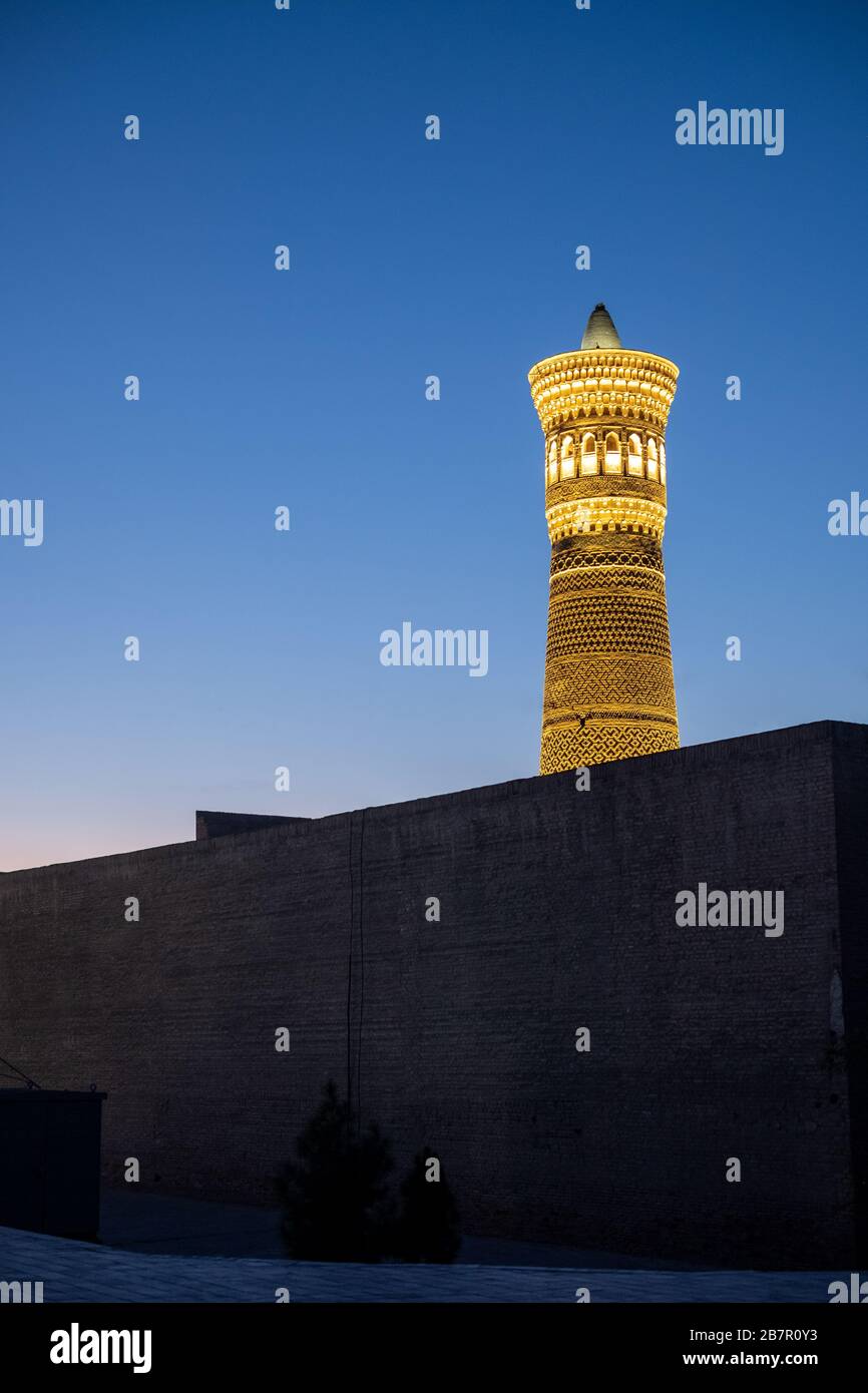Minaret Kalan, Boukhara, Ouzbékistan Banque D'Images