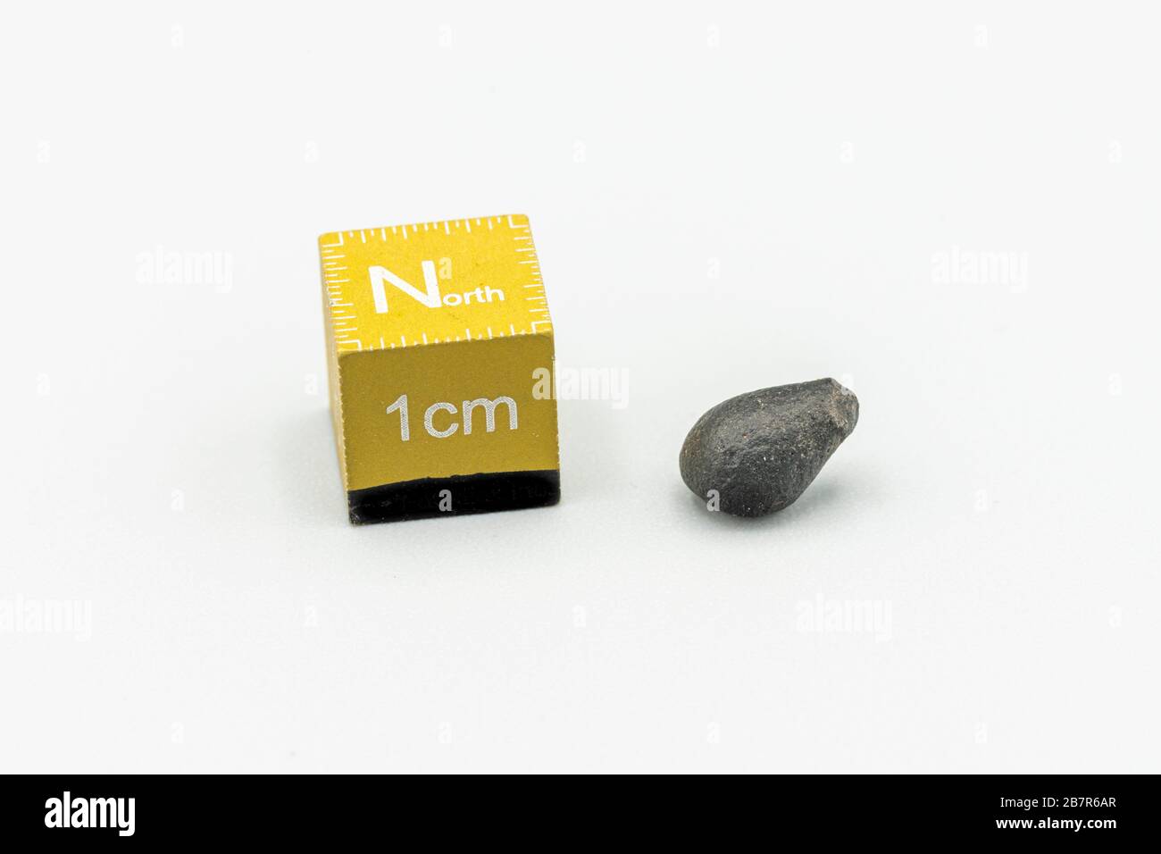 Météorite magnétique noire Atacaimite Tektite isolée, une roche formée dans une grande collision météorite au désert d'Atacama. Textures de fusion étonnantes sur les s Banque D'Images