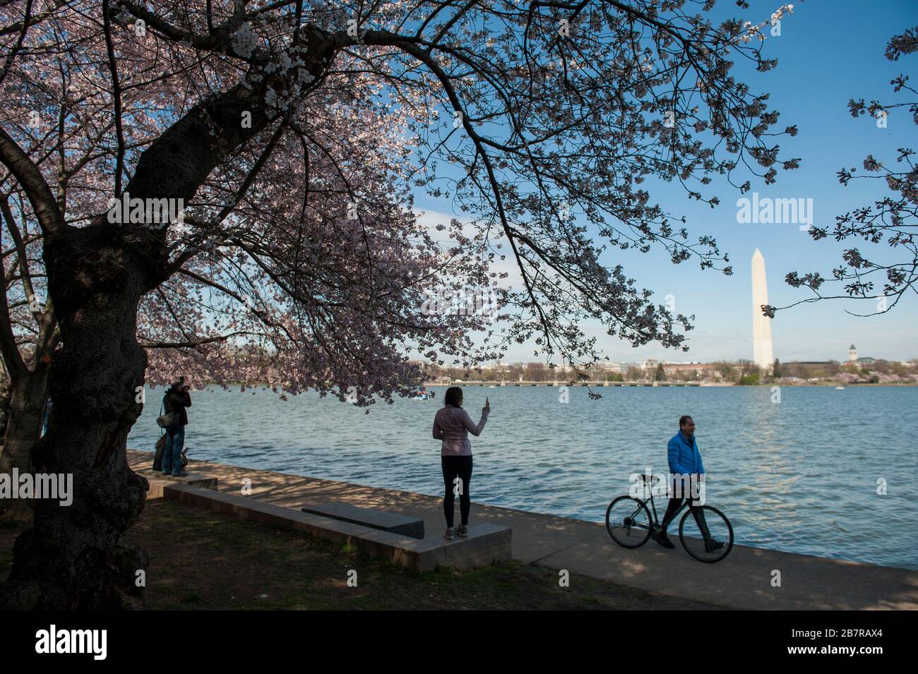 Une foule de gens très clairsemée visitent le bassin de Tidal et les cerisiers en fleurs alors que les États-Unis traitent de la pandémie de COVID-19 à Washington, DC, le mardi 17 mars 2020. Crédit : Rod Lamkey/CNP /MediaPunch Banque D'Images