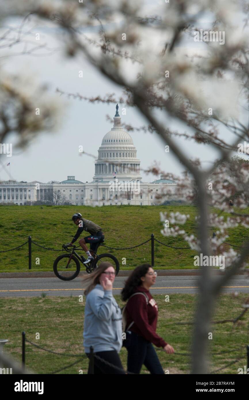 Avec le Capitole américain au loin, les gens passent par le Washington Monument alors que les cerisiers fleurissent et que les États-Unis traitent de la pandémie de COVID-19 à Washington, DC, le mardi 17 mars 2020. Crédit : Rod Lamkey/CNP /MediaPunch Banque D'Images