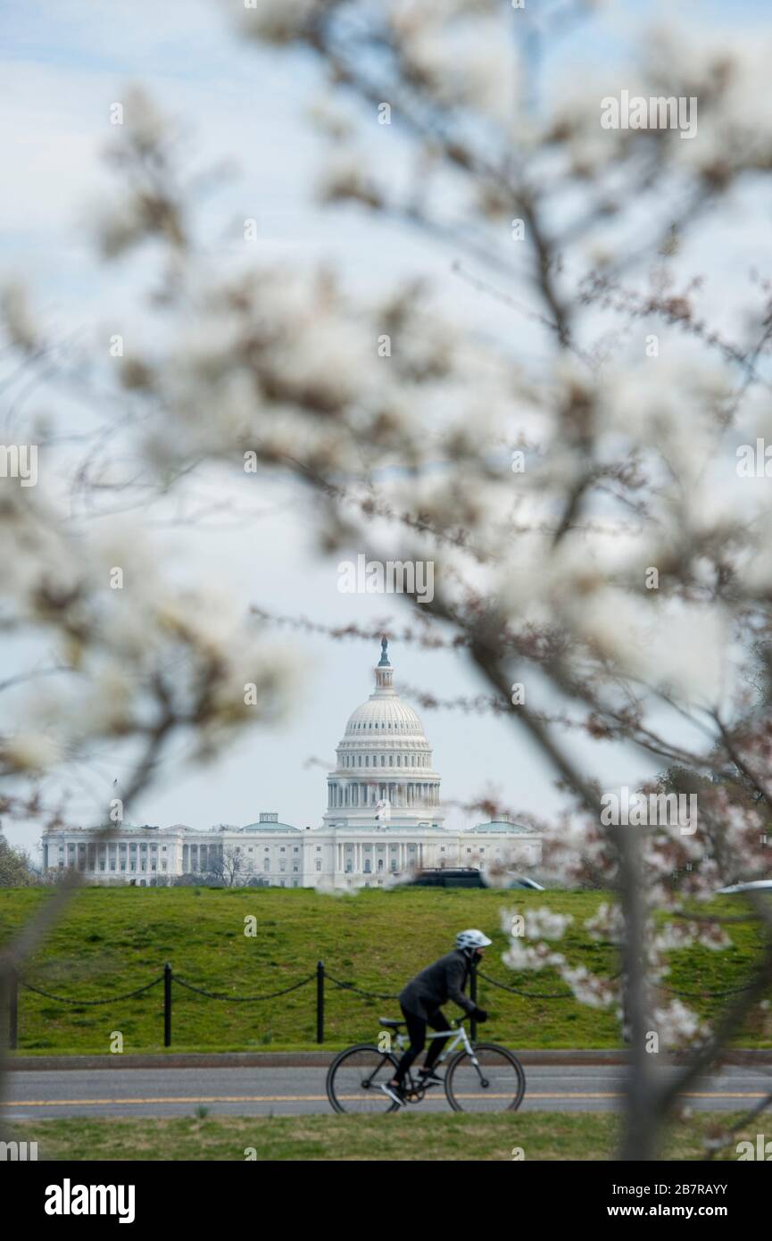 Avec le Capitole américain au loin, les gens passent par le Washington Monument alors que les cerisiers fleurissent et que les États-Unis traitent de la pandémie de COVID-19 à Washington, DC, le mardi 17 mars 2020. Crédit : Rod Lamkey/CNP /MediaPunch Banque D'Images