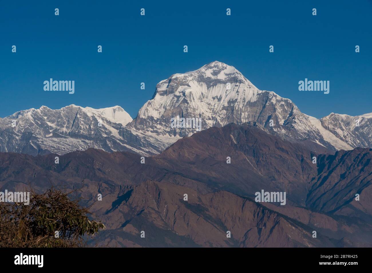 Vue majestueuse de la chaîne de montagnes de Dhaulagiri sept plus hauts Pokhara Népal Banque D'Images