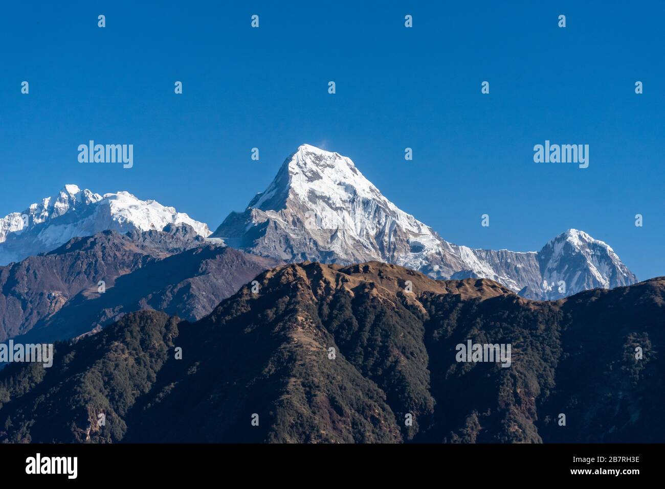 Belle vue de la gamme Annapurna avec le Pokhara de himchuli népal Banque D'Images