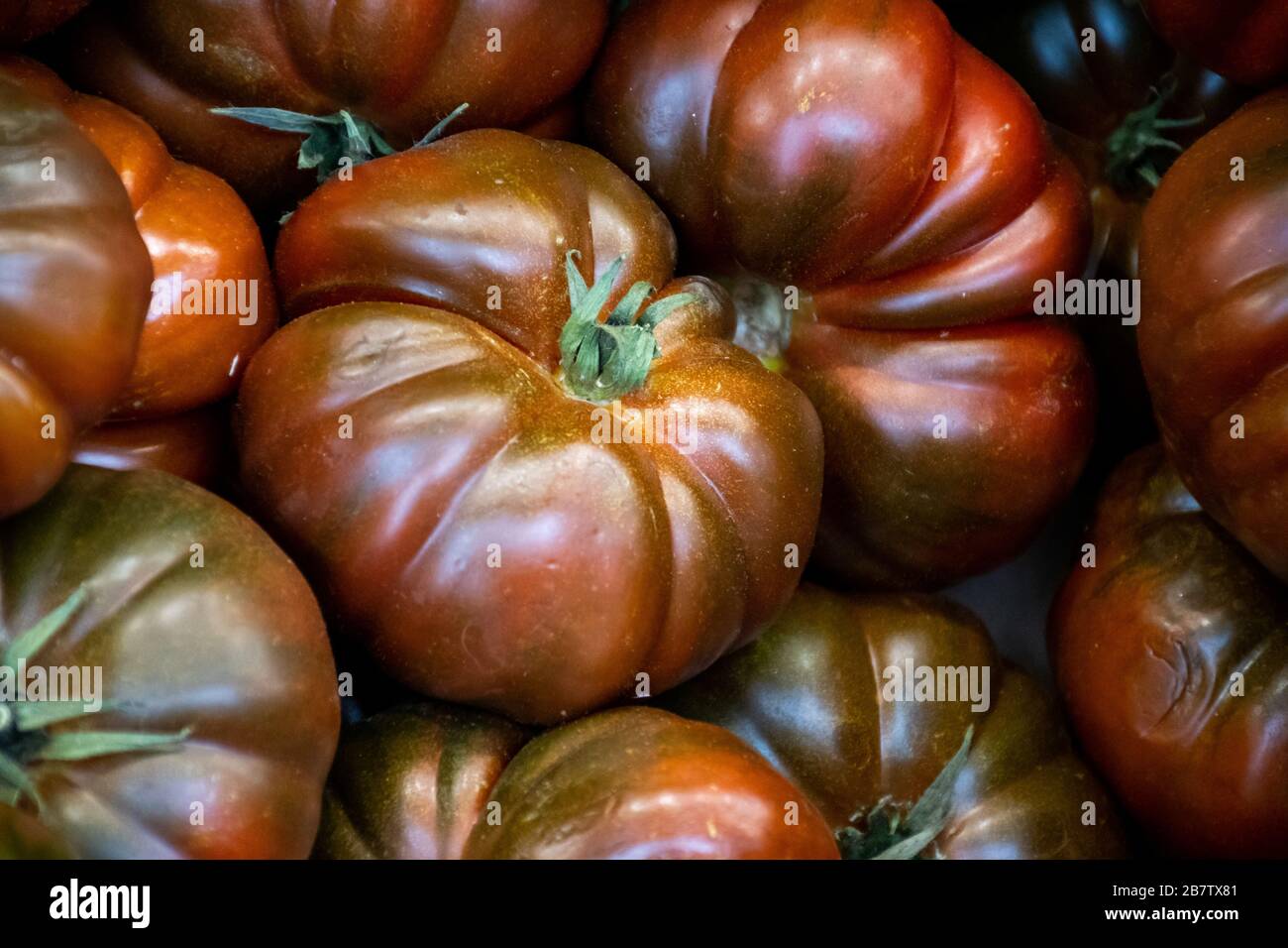 Gros plan sur les tomates à base de Krim Heirloom noires Banque D'Images