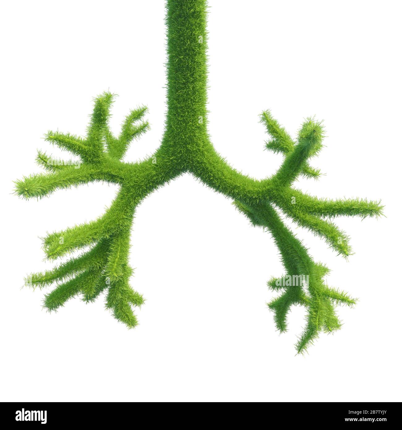 Bronches humaines sous forme d'herbe fraîche verte. Partie intégrante du poumon. rendu tridimensionnel. Banque D'Images