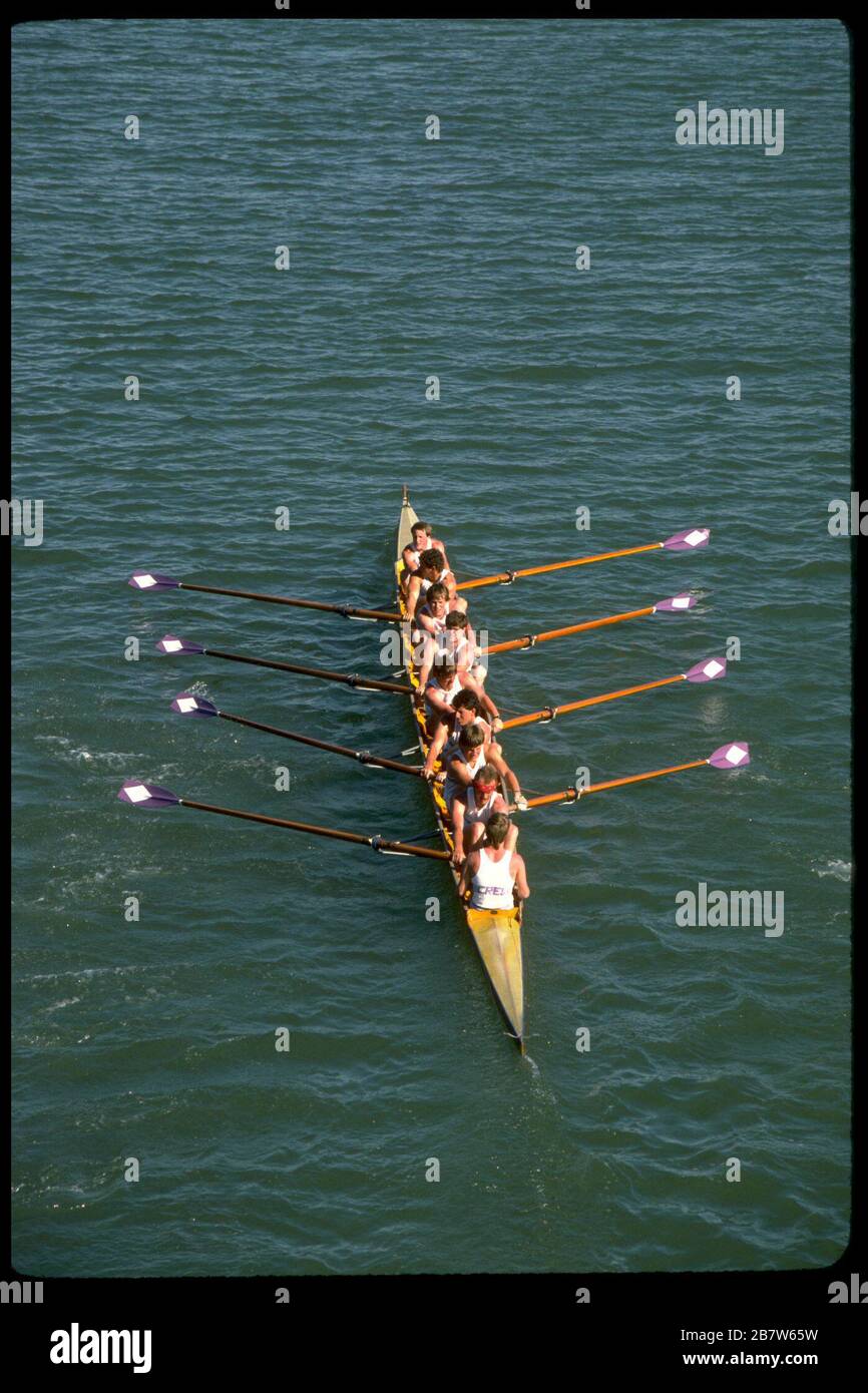 Carapace de course pour huit personnes avec coxswain sur l'eau. ©Bob Daemmrich Banque D'Images