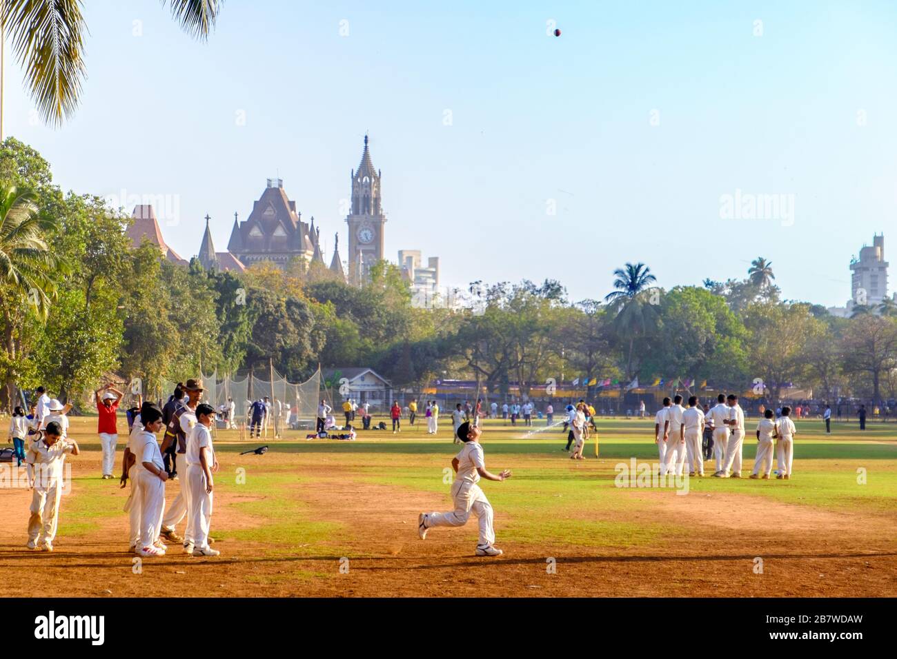 Pratique de cricket sur l'Oval Maidan à Mumbai / Bombay, Inde Banque D'Images