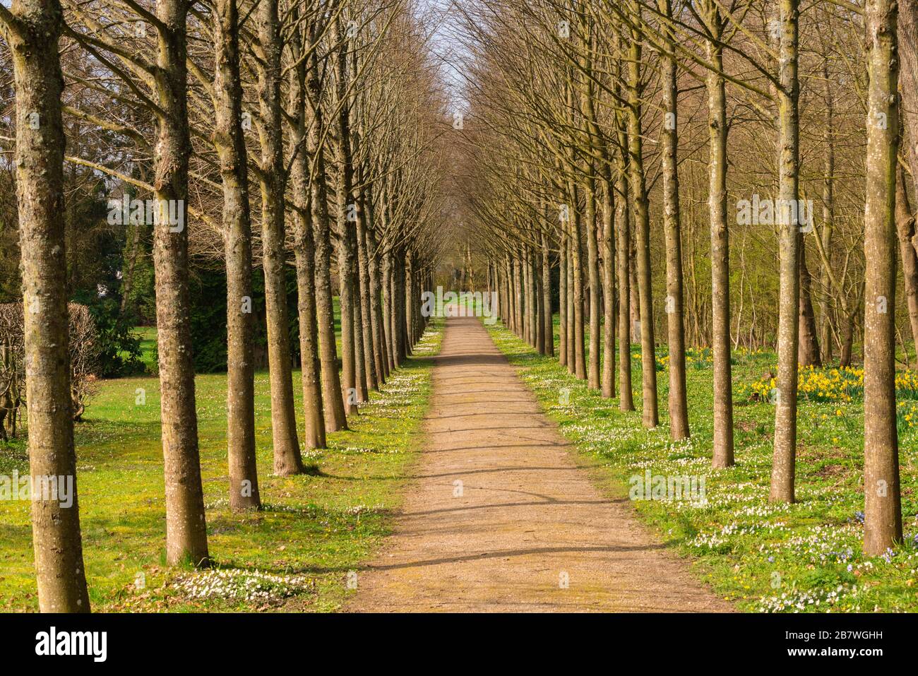 Hochdorfer Garten ou Hochdorf jardin manger dans le paysage et la péninsule Eiderstedt, la Frise du Nord, le Schleswig-Holstein, l'Allemagne du Nord, l'Europe centrale Banque D'Images