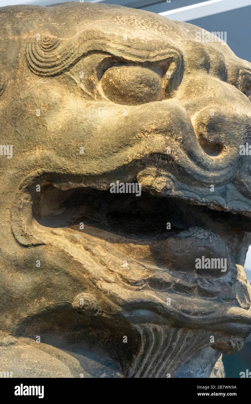 Détail de la tête de réplique d'un lion de pierre de la tombe Shunling de la dynastie Tang, Musée d'histoire de Shaanxi, Xian, Chine Banque D'Images