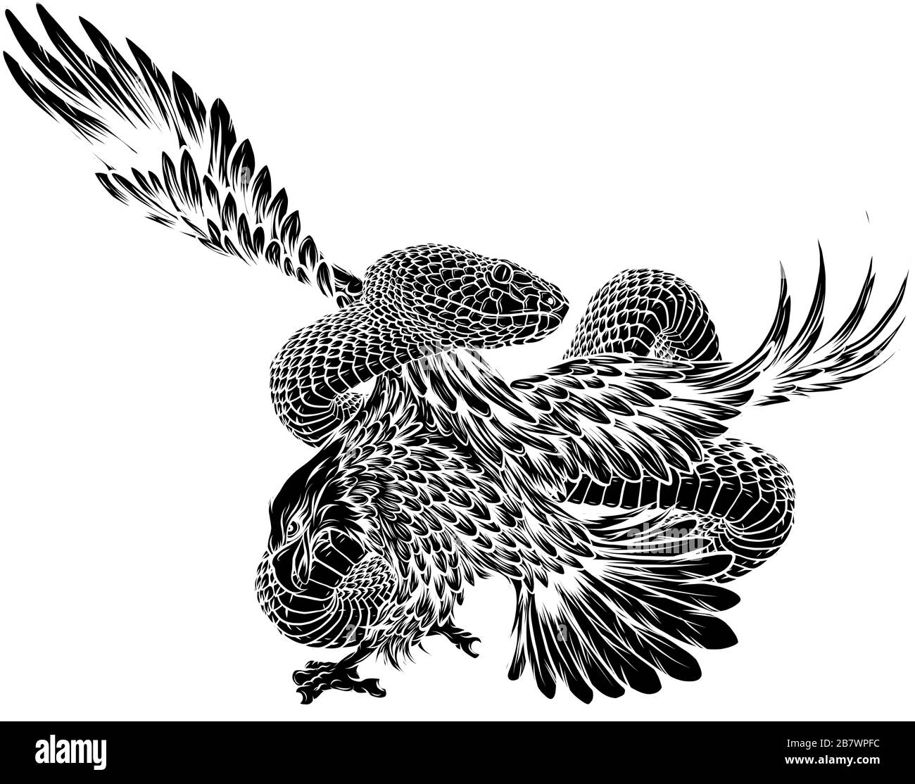 Aigle et viper, aigle vs serpent, prédateur et vecteur de proie Illustration de Vecteur