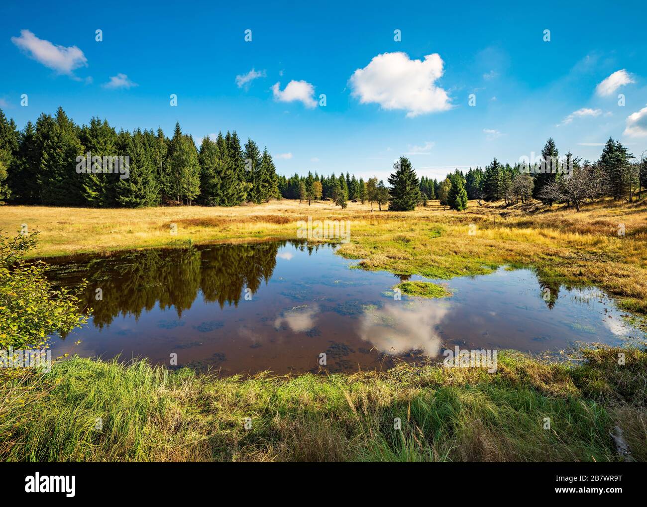 Petit lac dans un bog, bog élevé sur la crête de l'Erzgebirge, Erzgebirge, Dlouha Louka, République tchèque Banque D'Images