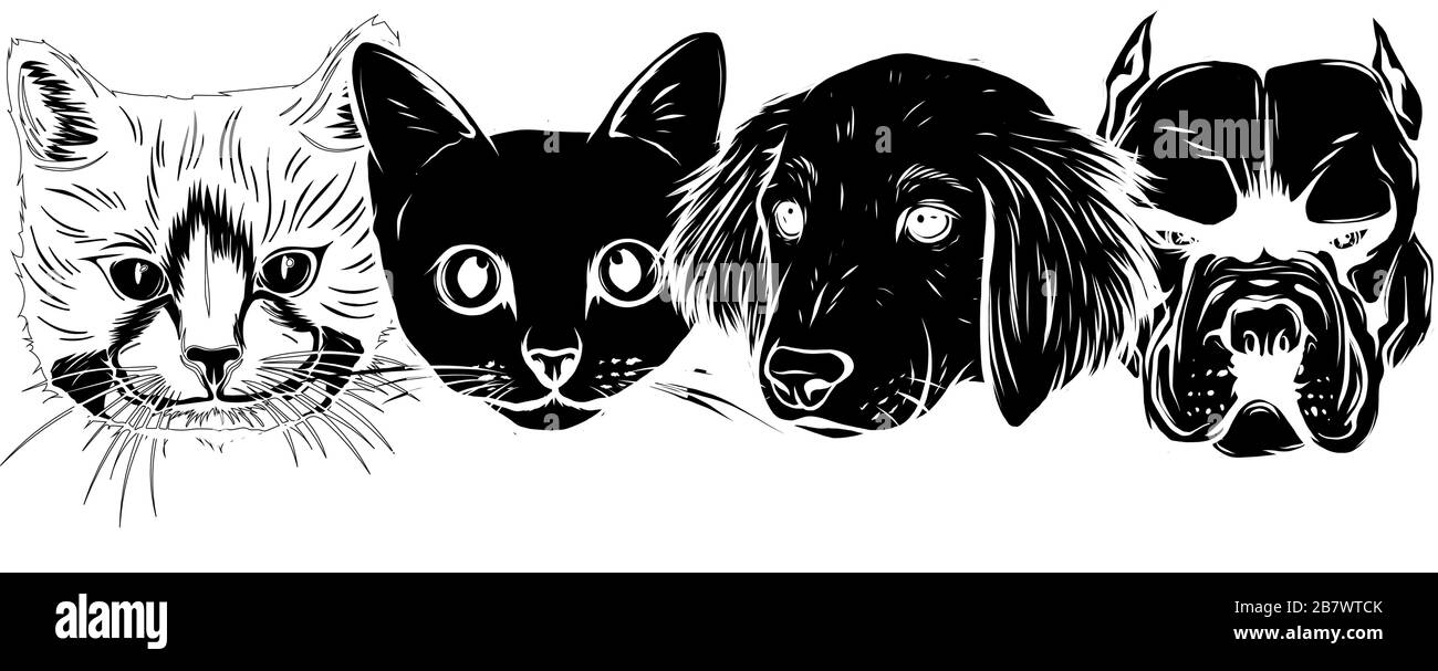 Personnages de chat et de chien. Meilleur ami pour toujours, illustration vectorielle. Illustration de Vecteur
