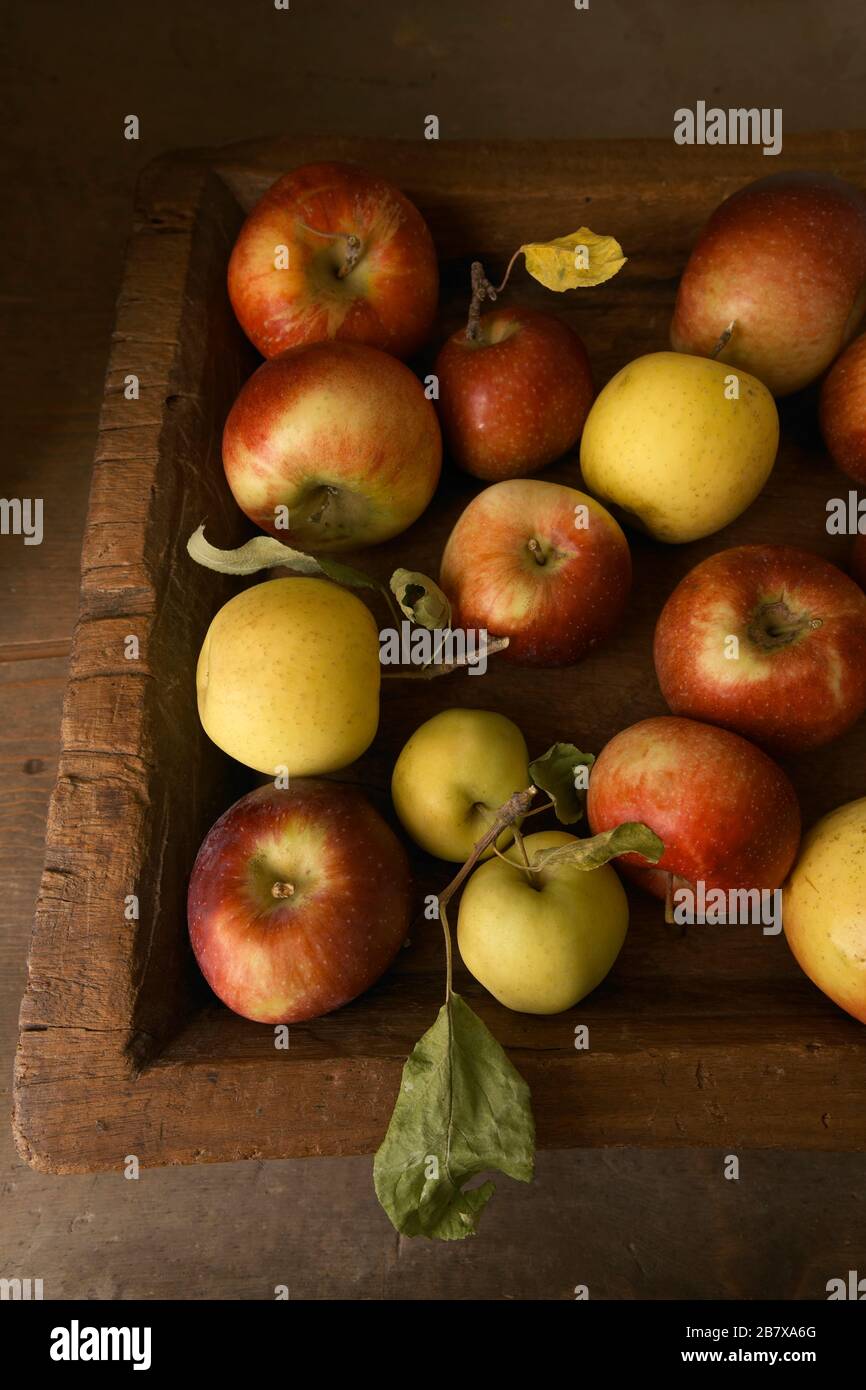 Pommes fraîchement cueillies au charbon de bois Banque D'Images