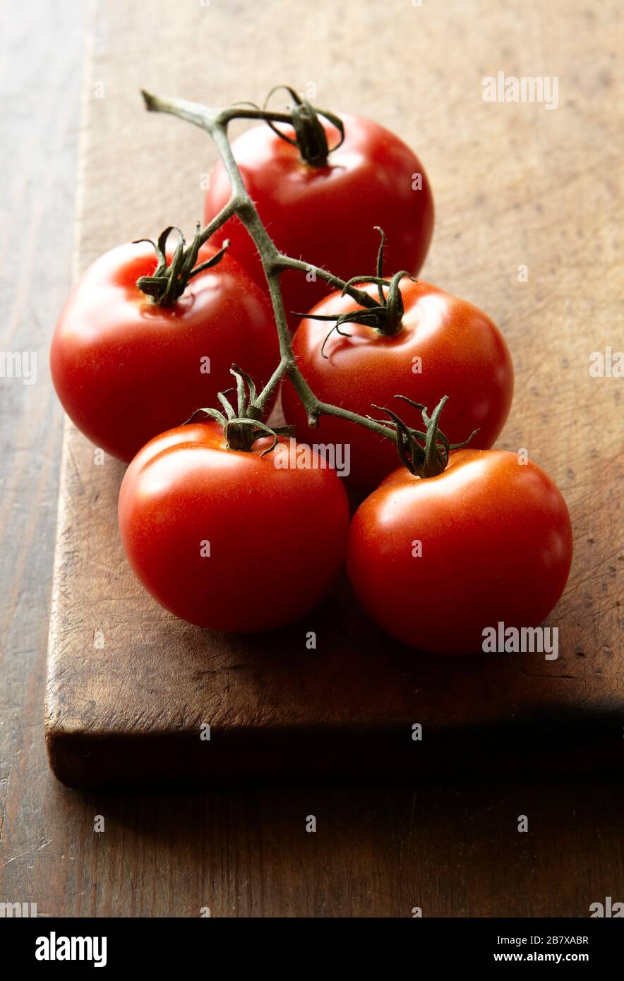 Tomates fraîches sur la vigne Banque D'Images