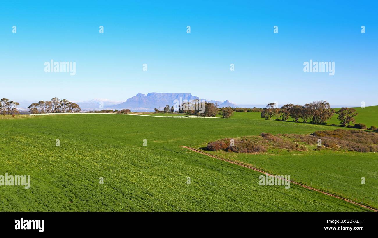 Vue aérienne de champs agricoles Banque D'Images