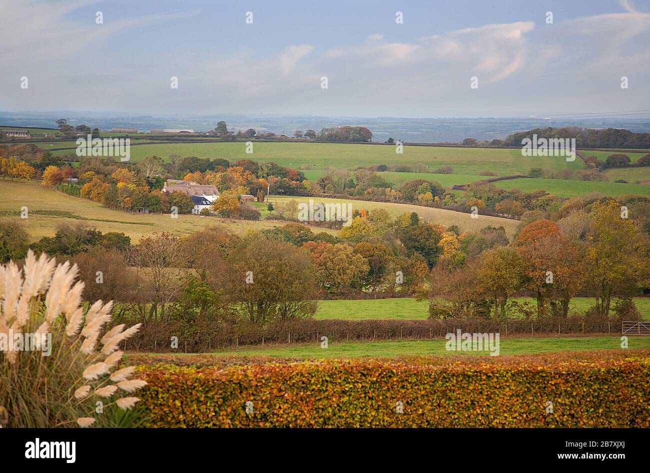 Paysage d'automne donnant sur la campagne à Devon Banque D'Images