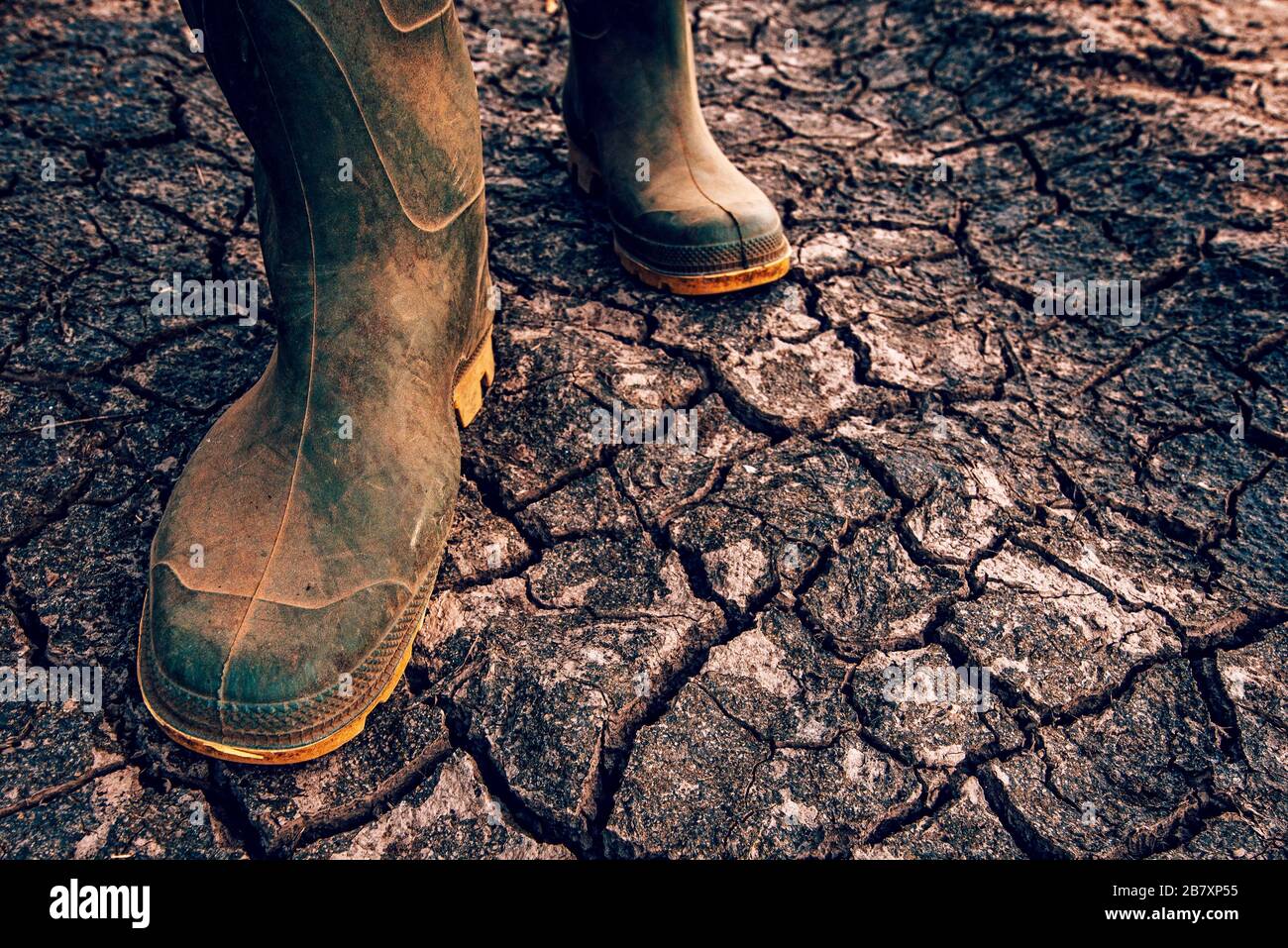 Agriculteur en bottes de caoutchouc marche sur sol sec sol, le réchauffement planétaire et le changement climatique a des répercussions sur la croissance et le rendement des cultures Banque D'Images
