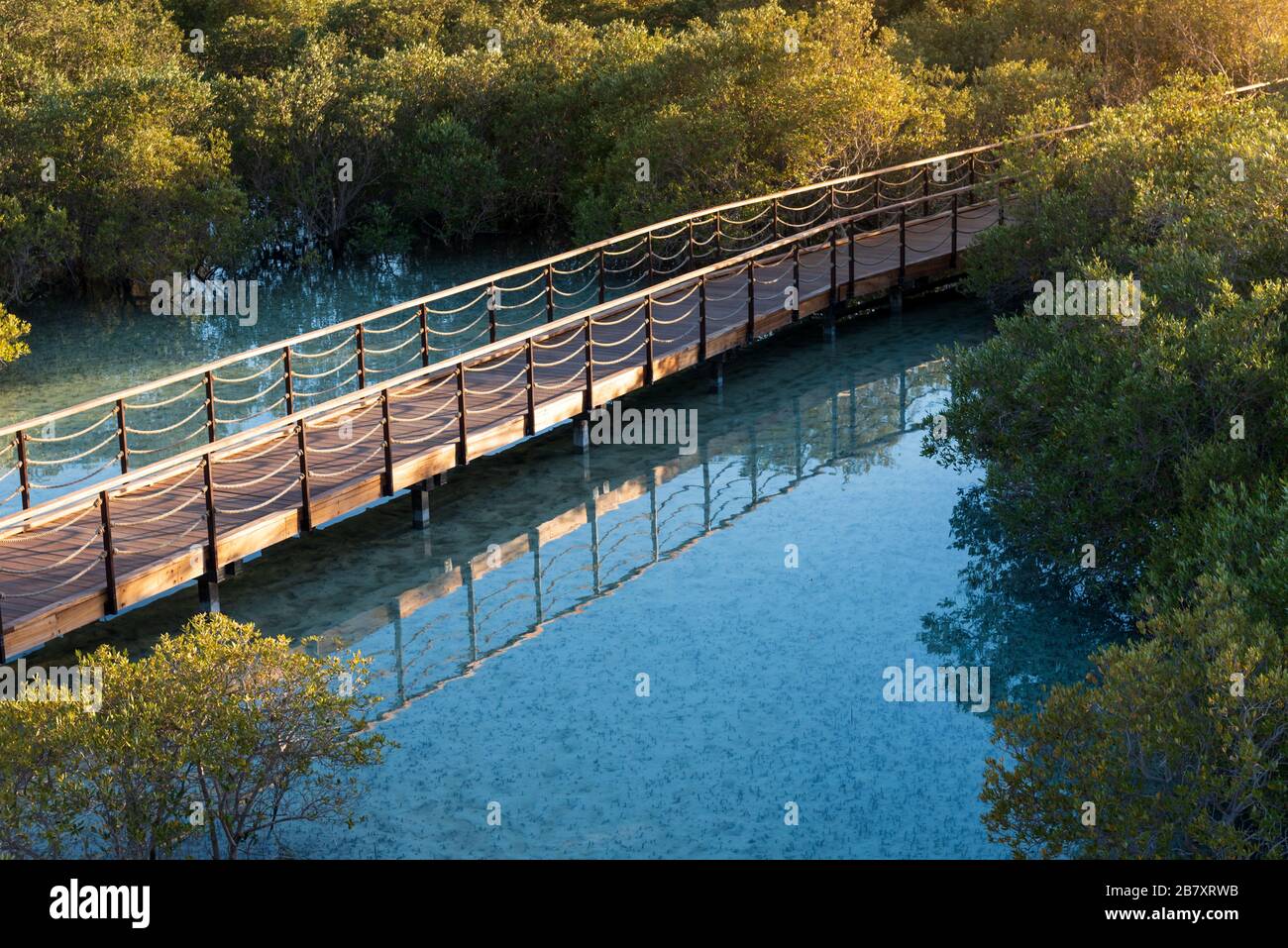 Parc De Mangrove De Jubail Banque De Photographies Et D images Haute Parc De Mangrove De Jubail Banque De Photographies Et D images Haute