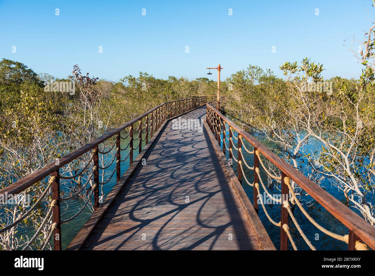 Parc de mangrove de jubail Banque de photographies et d’images à haute ...