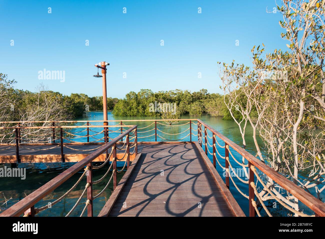 Parc De Mangrove De Jubail Banque De Photographies Et D images Haute parc-de-mangrove-de-jubail-banque-de-photographies-et-d-images-haute