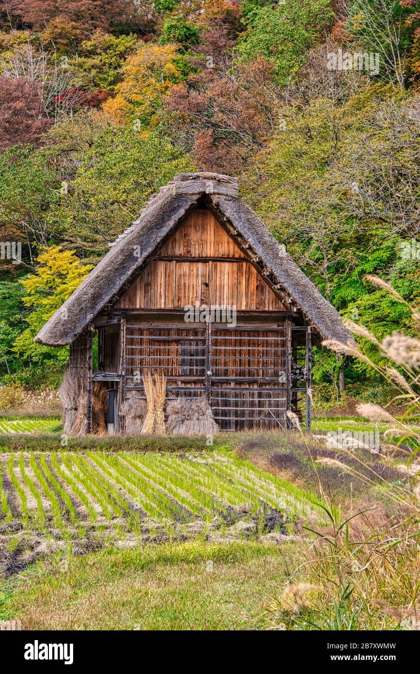 Maison dans le village traditionnel de Shirakawago, Gifu, Japon. Patrimoine Mondial De L'Unesco. Banque D'Images
