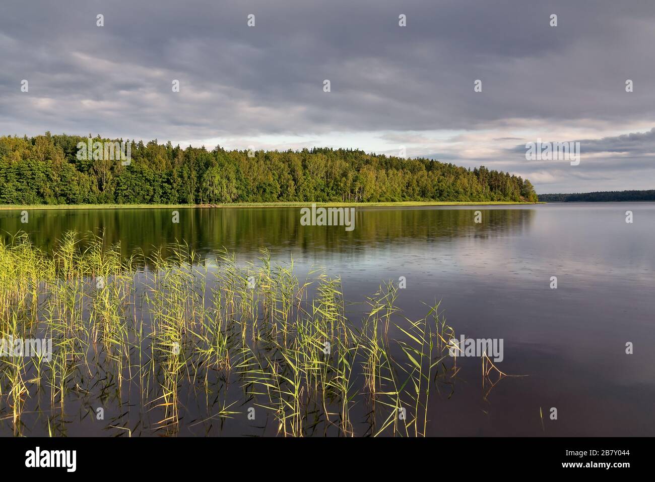 La forêt sur le lac se reflète dans l'eau calme, un paysage d'été apaisant Banque D'Images