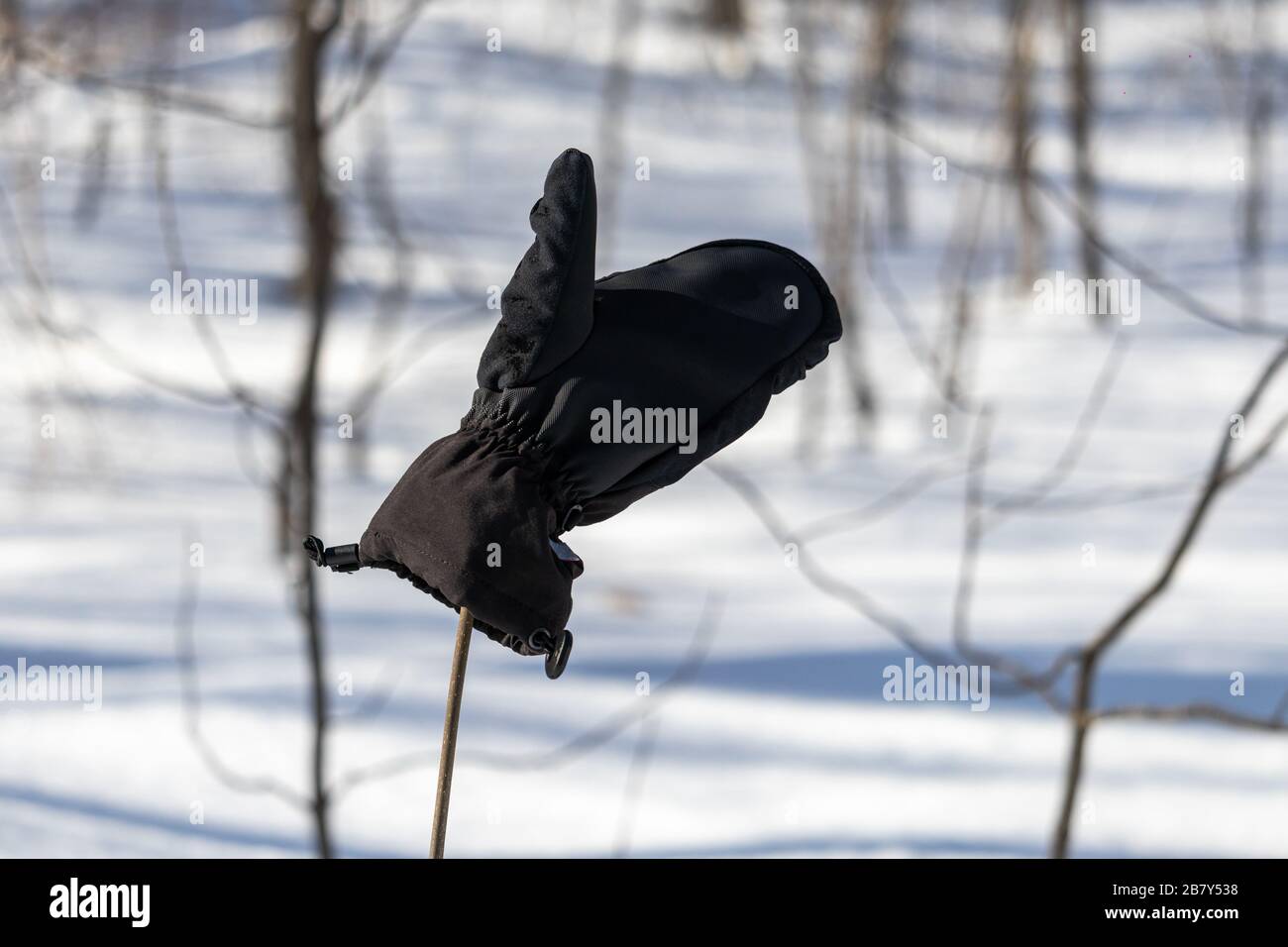 Un mitten perdu a été placé sur une branche le long d'un sentier de randonnée en hiver, dans l'espoir que son propriétaire pourrait être en mesure de le trouver rapidement. Banque D'Images
