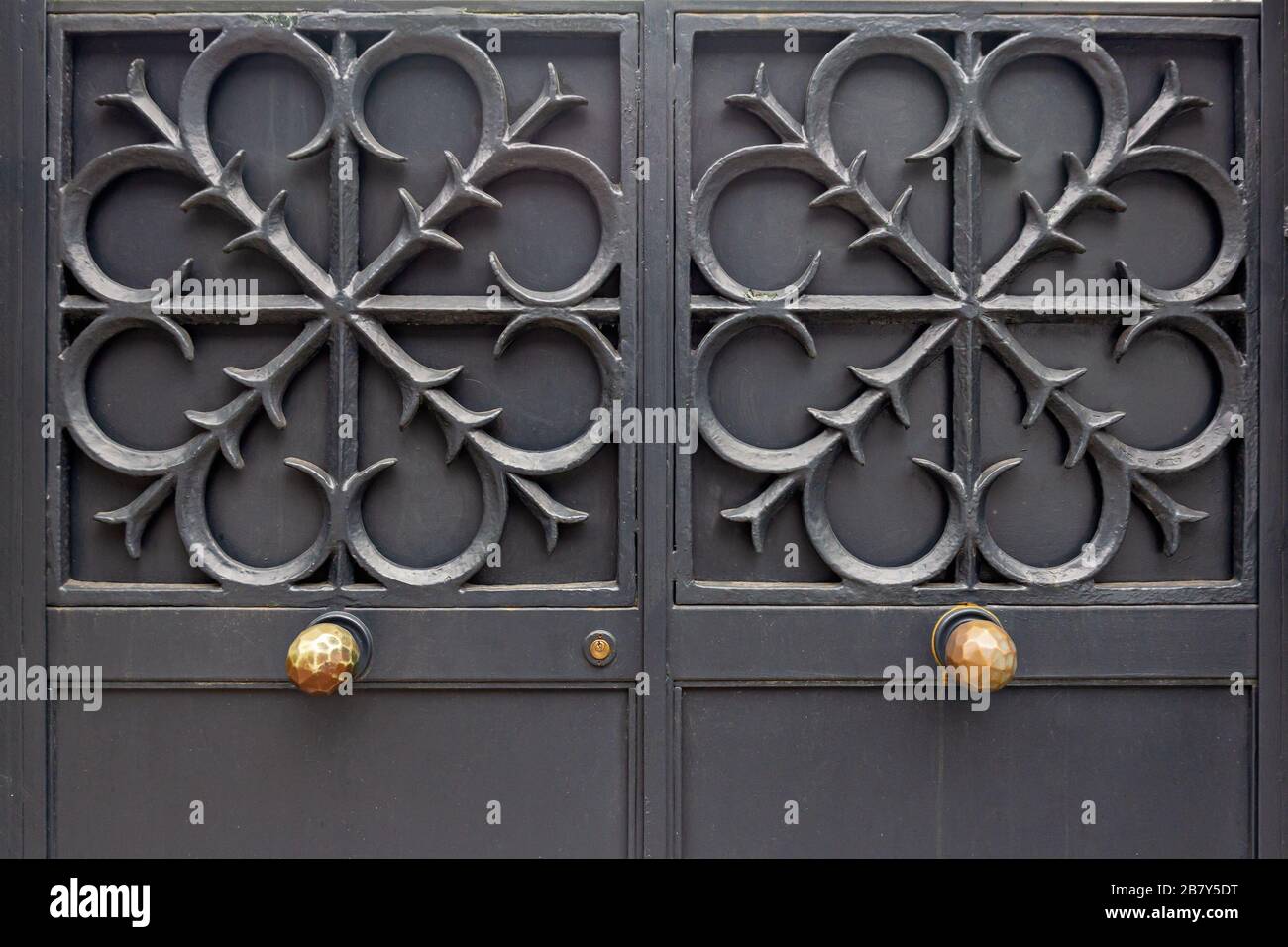 Acier, porte de fer ancien design architectural. L'arrière-plan de la  grille métallique. Style vintage. Porte d'entrée en métal. Ancienne  menuiserie en métal Photo Stock - Alamy