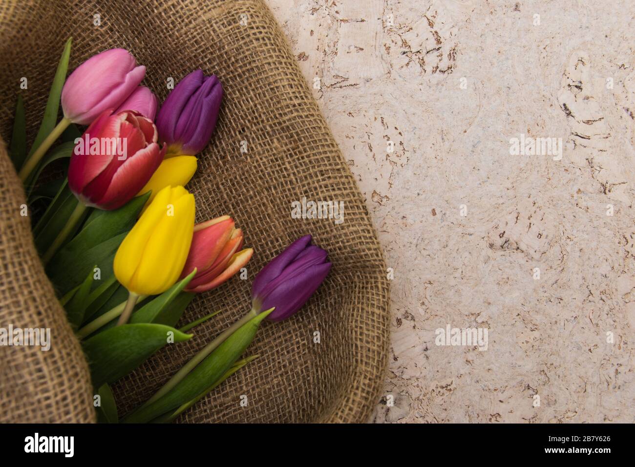 Bouquet de tulipes multicolores en papier d'emballage en tissu naturel. Fleurs de printemps sur le fond de liège . Vue de dessus avec place pour le texte. Espace de copie. Banque D'Images