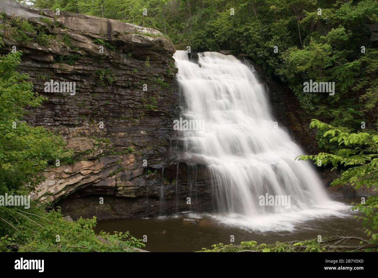 Chutes de Muddy Creek, parc national de Swallow Falls, Maryland Banque D'Images