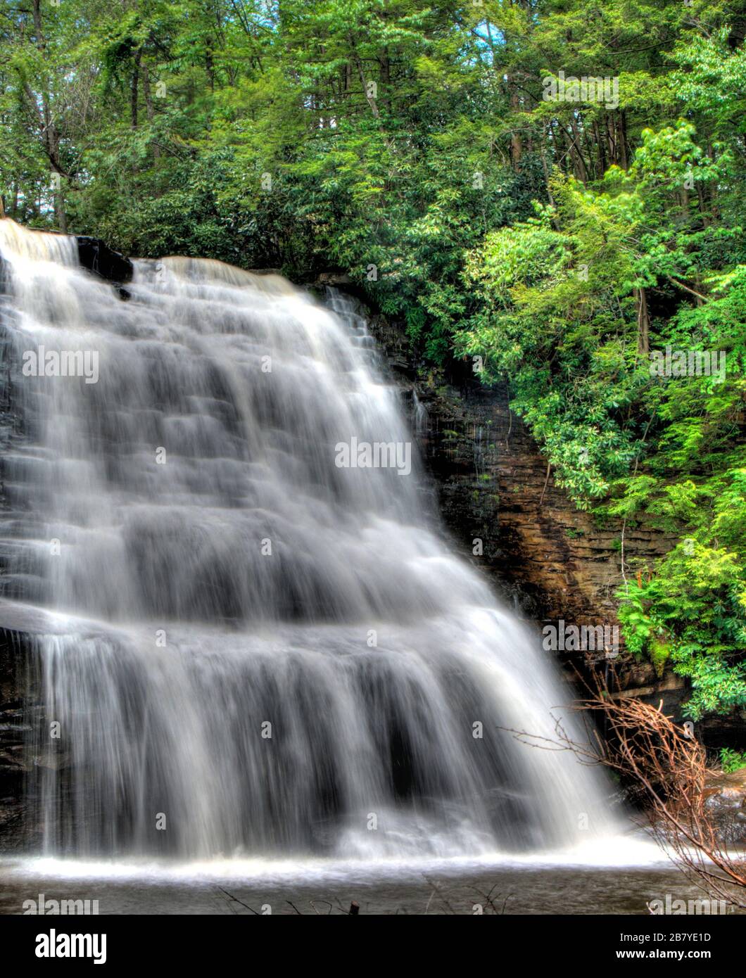 Chutes de Muddy Creek, parc national de Swallow Falls, Maryland Banque D'Images