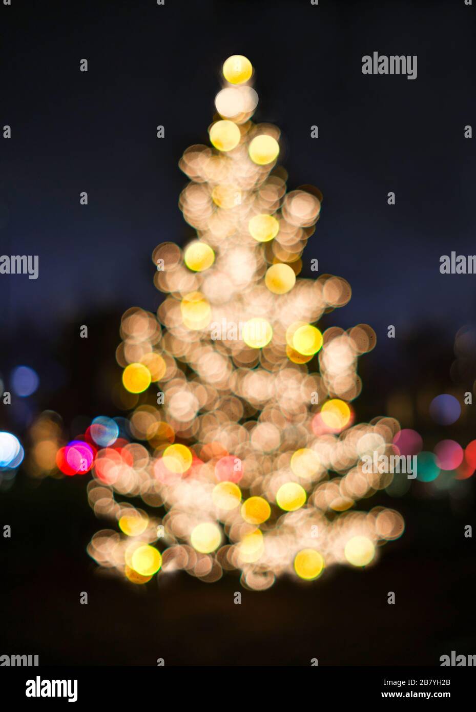 Arbre de Noël défoqué illuminé la nuit Banque D'Images