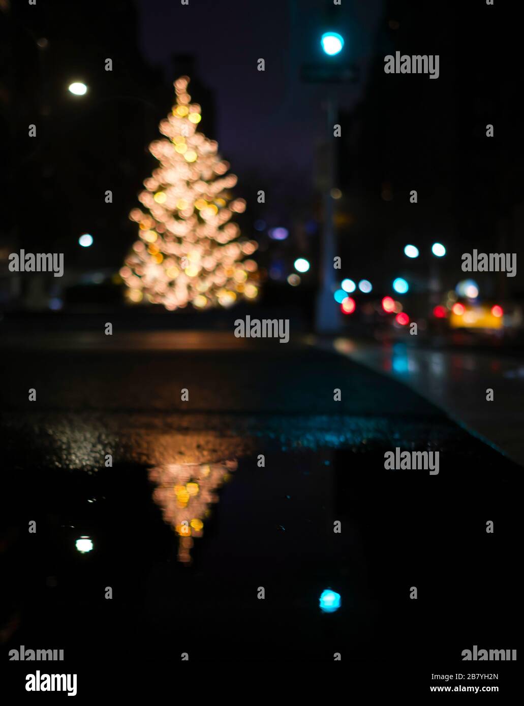 Arbre de Noël défoqué illuminé la nuit Banque D'Images