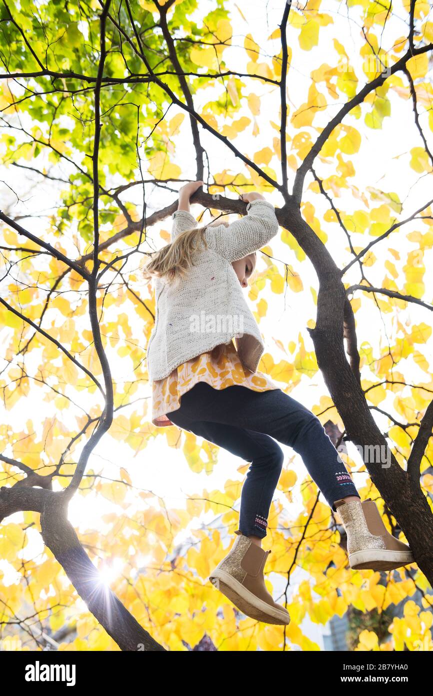 Fille grimpant arbre pendant l'automne Banque D'Images