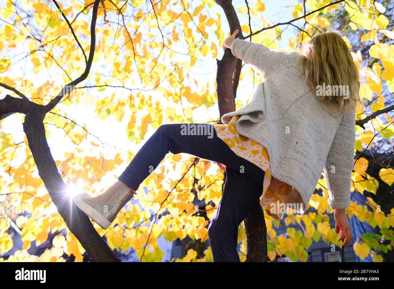 Fille grimpant arbre pendant l'automne Banque D'Images
