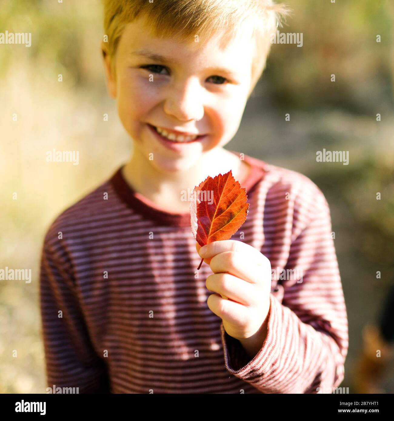 Garçon souriant tenant la feuille d'automne Banque D'Images