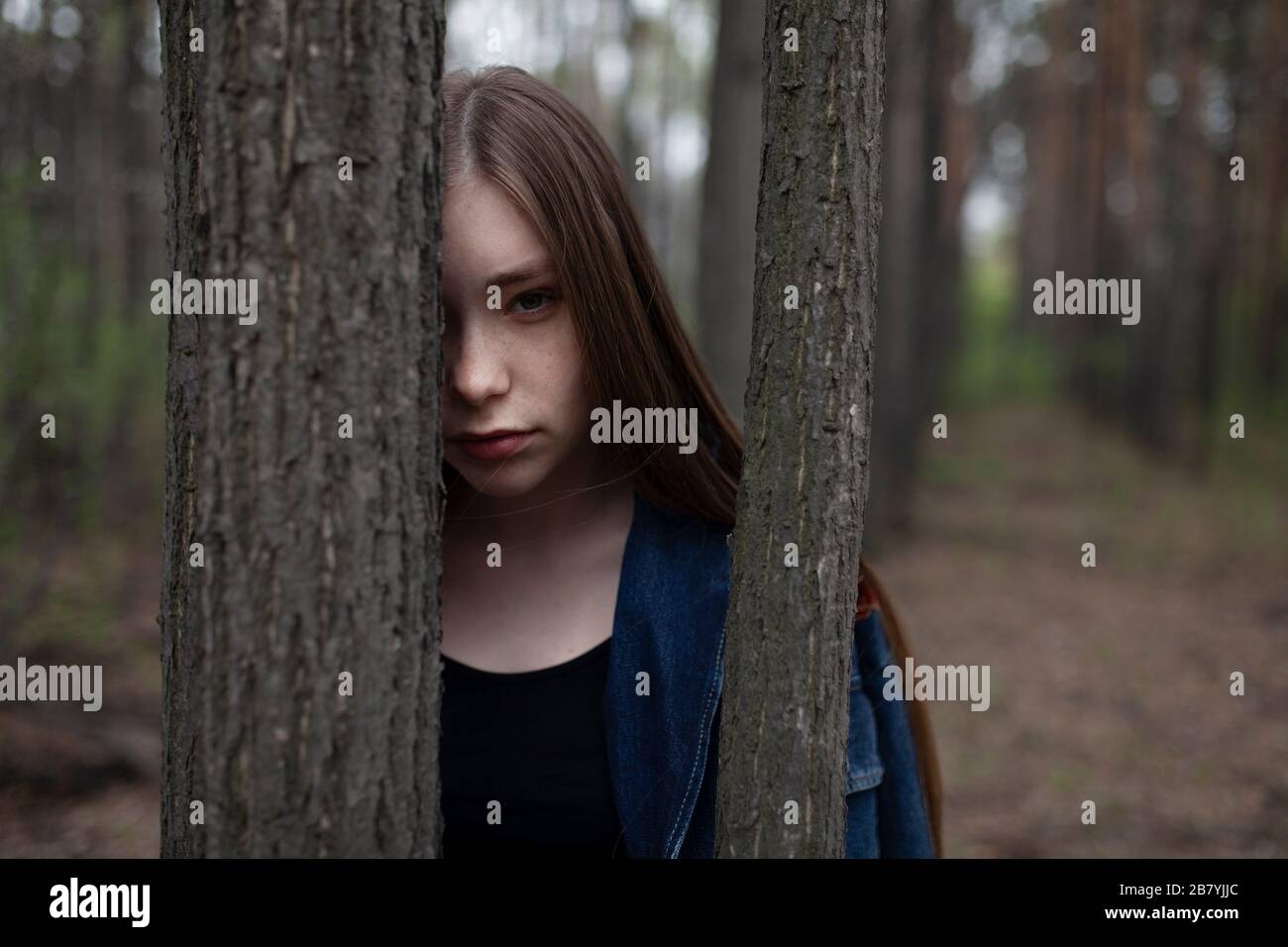 Jeune femme derrière des troncs d'arbre en forêt Banque D'Images