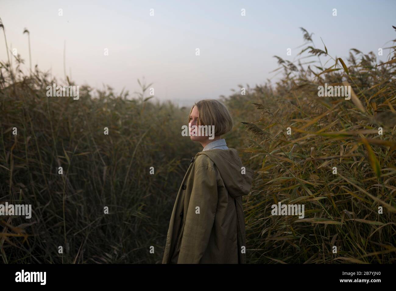 Jeune femme dans le champ de l'herbe longue Banque D'Images