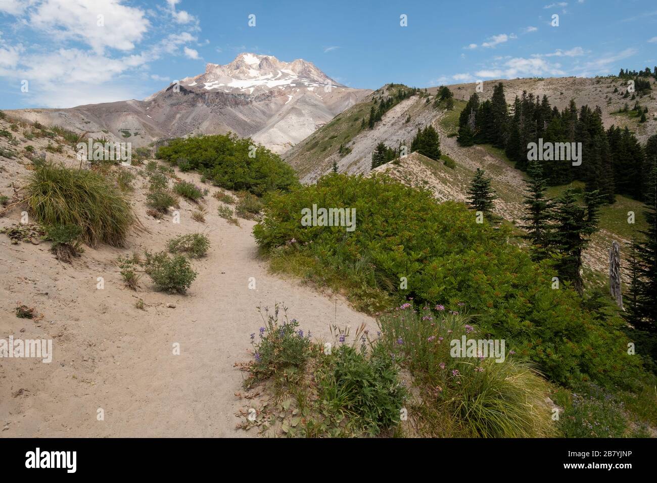 Dunes de sable et montagne dans la forêt nationale de Mount Hood, Oregon Banque D'Images