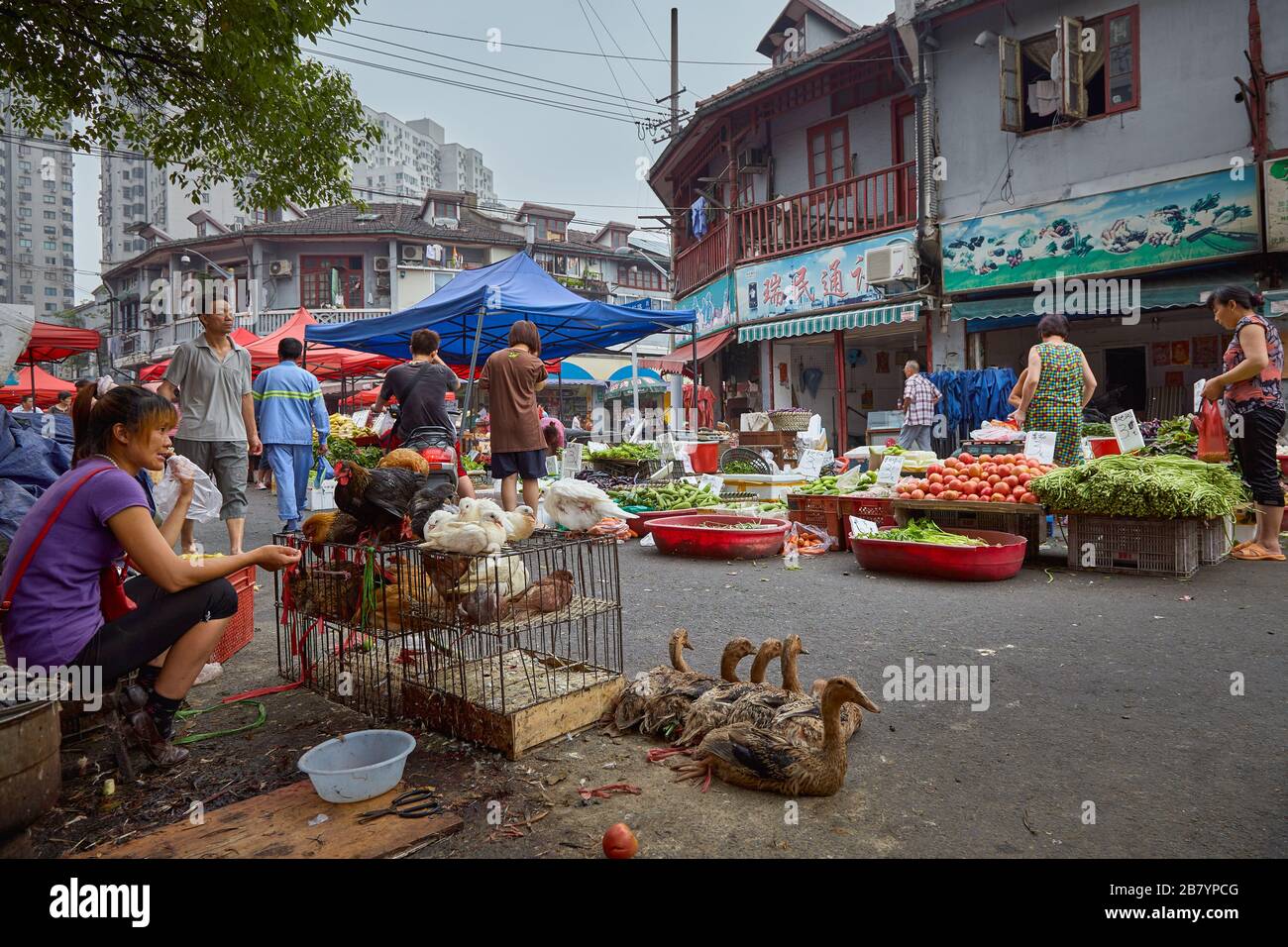 SHANGHAI, CHINE - marché de produits frais dans la banlieue de Shanghai. Banque D'Images