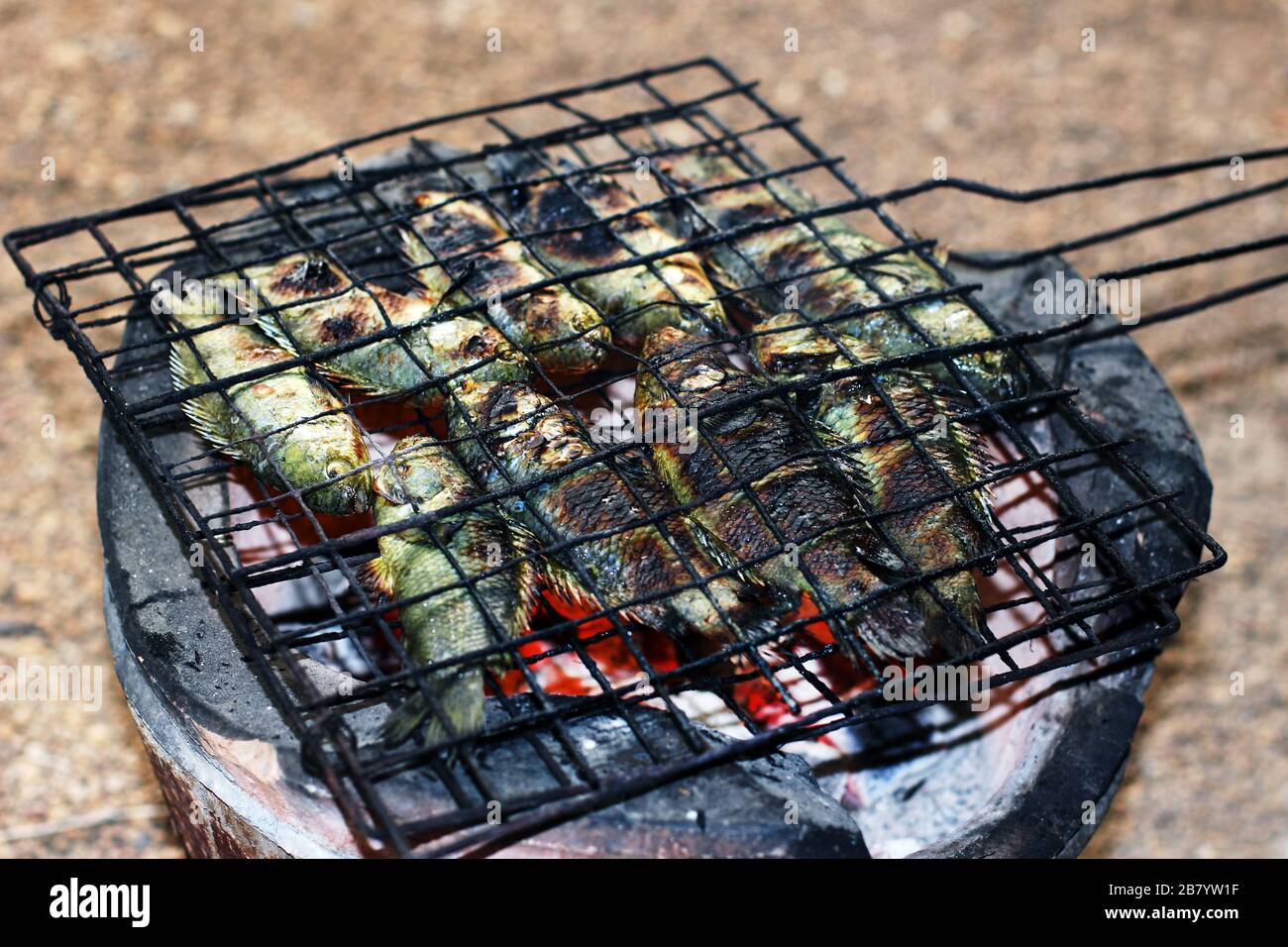 Poisson grillé, cuisine thaïlandaise cuisson perchaude d'escalade poisson grillé sur le Grate sur poêle à charbon, nourriture de poisson d'asie, (Anabas testudineus) Banque D'Images