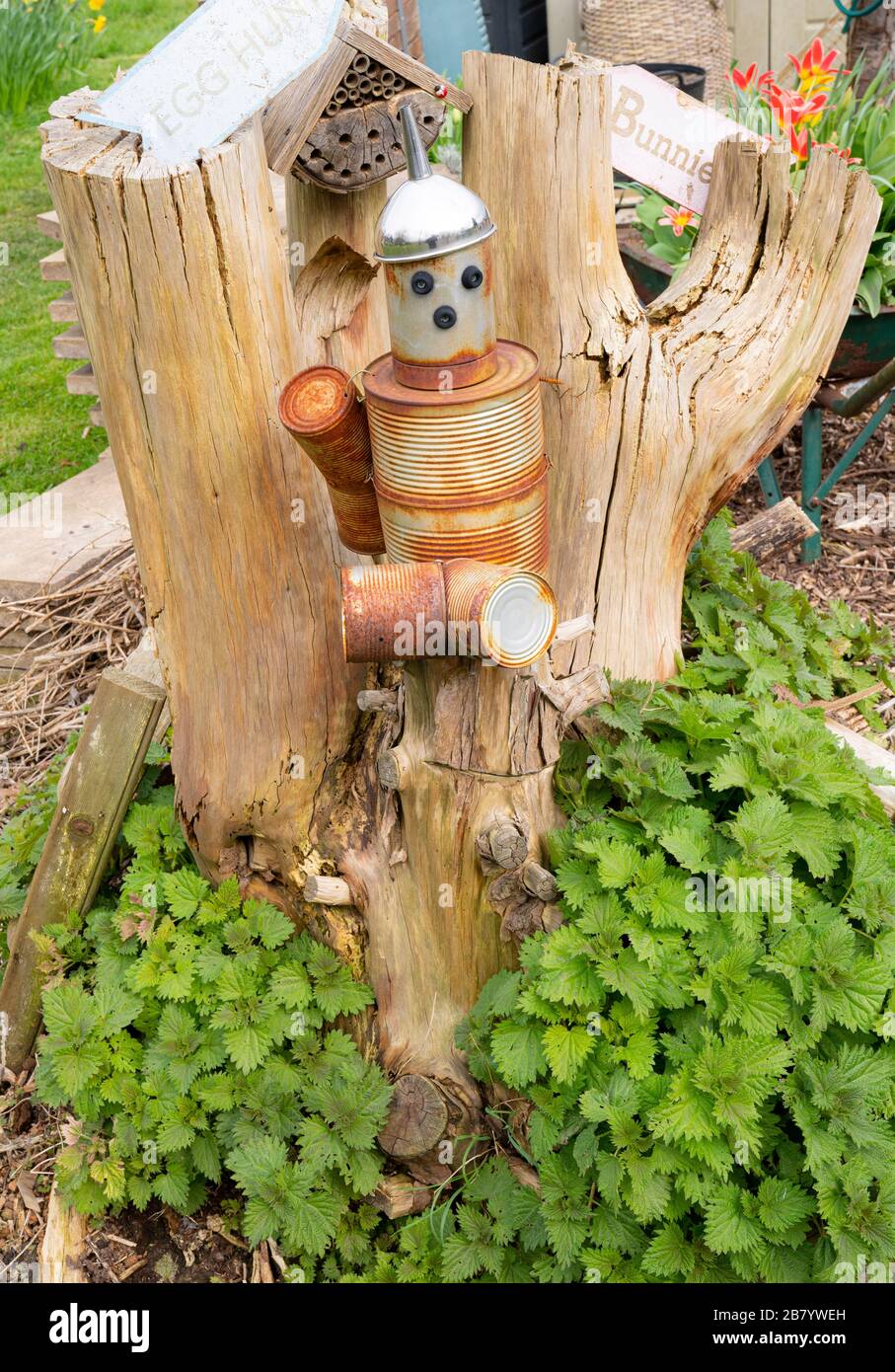 Une sculpture d'homme d'étain au milieu de plantes de fraise sur un terrain d'allotissement à Bromley. Banque D'Images