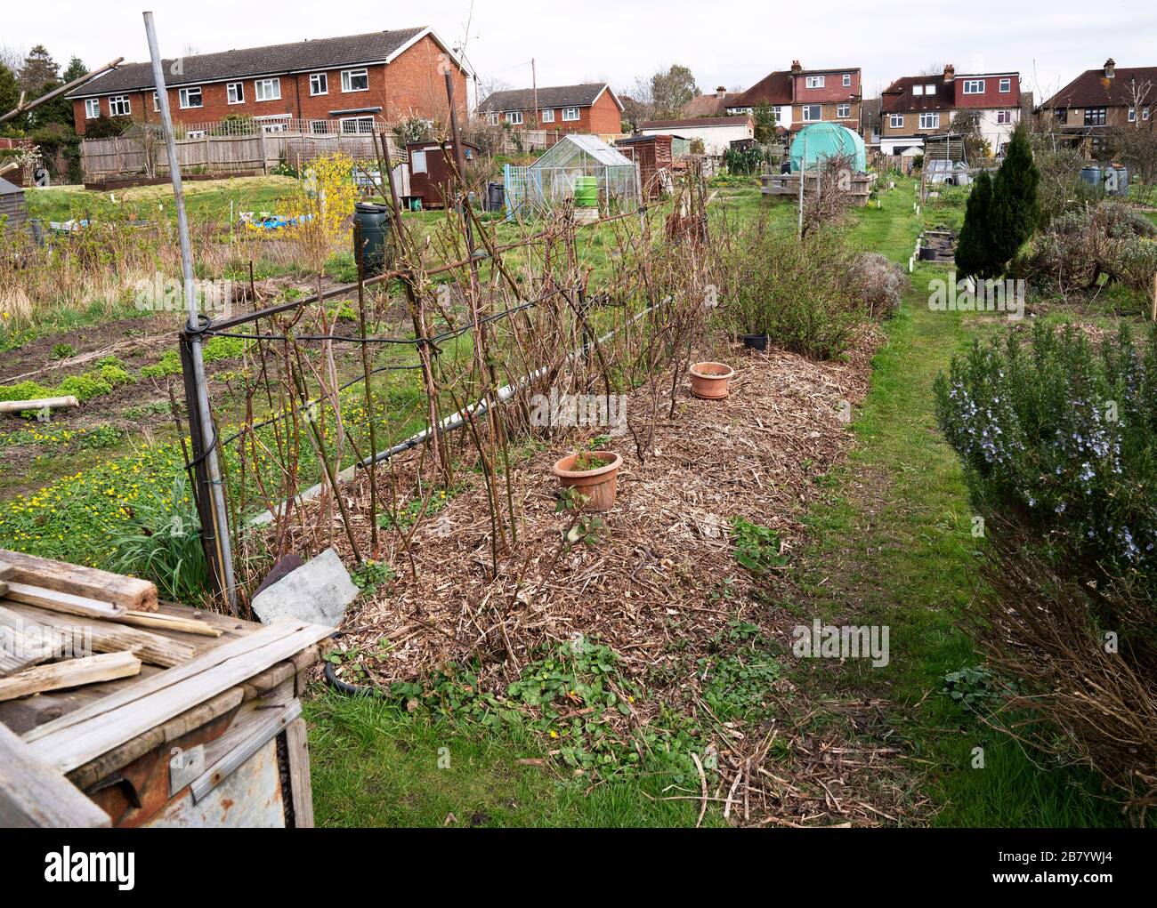 Vue générale d'un tracé d'attribution dans Bromley. Banque D'Images