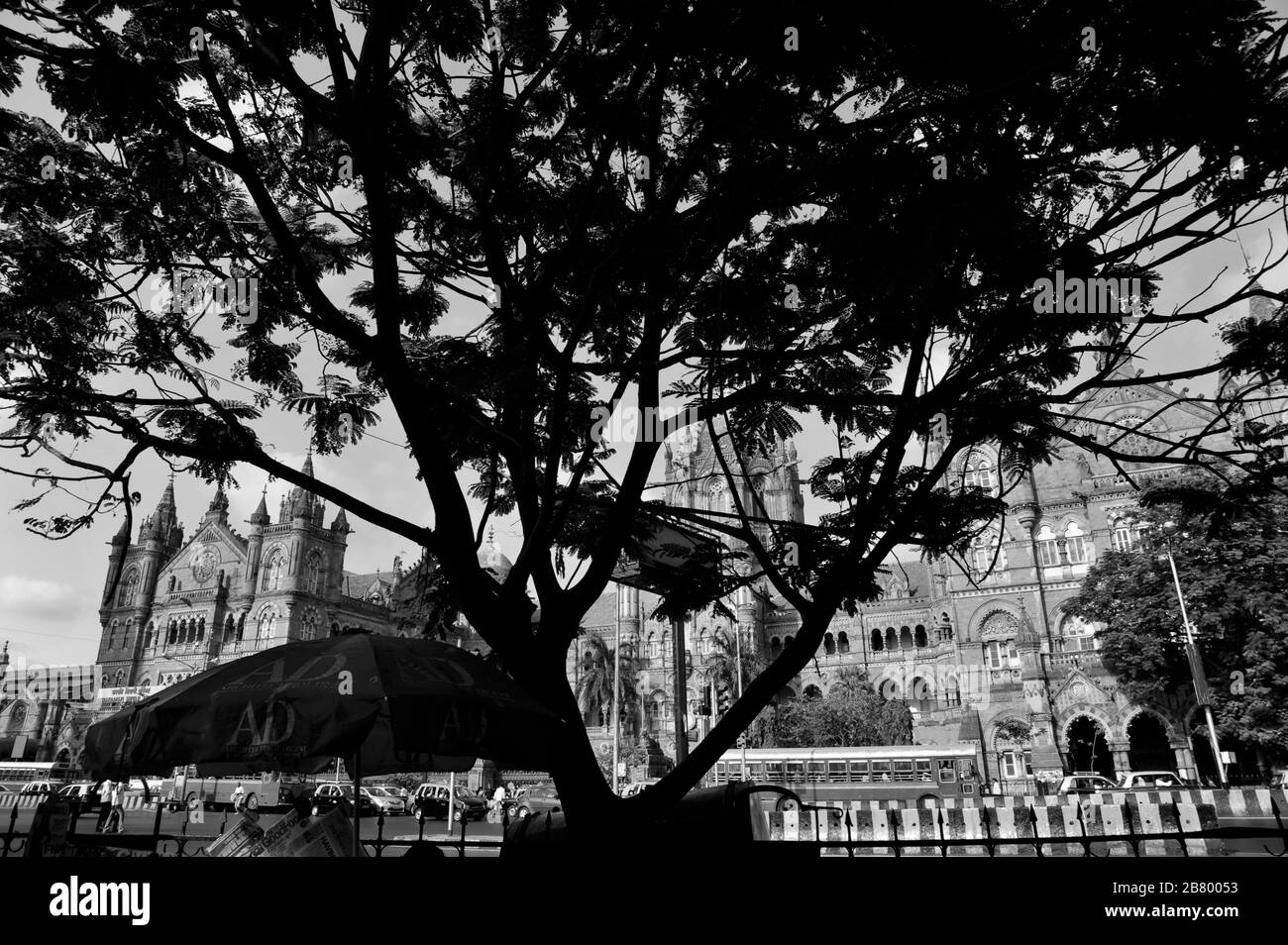 Victoria Terminus, VT, Chhatrapati Shivaji Maharaj Terminus, CST, site du patrimoine mondial de l'UNESCO, Bori Bunder, Bombay, Mumbai, Maharashtra, Inde, Asie Banque D'Images